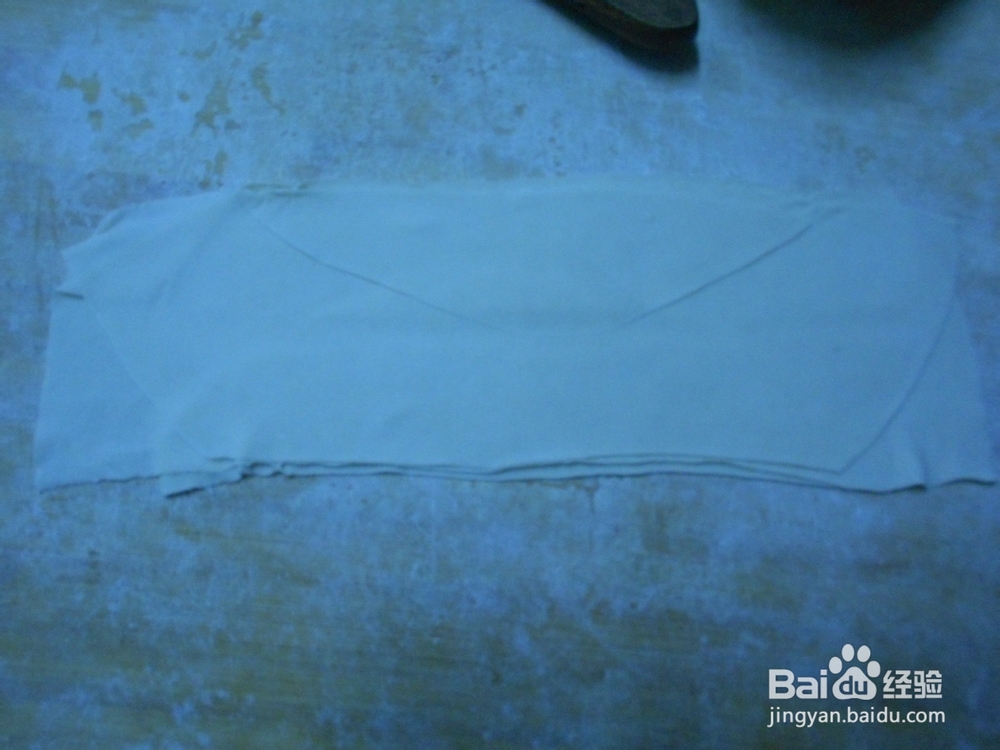 自己在家做 牛肉大葱 馄饨