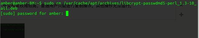 ubuntu以及衍生版系统如何寻找软件缓存