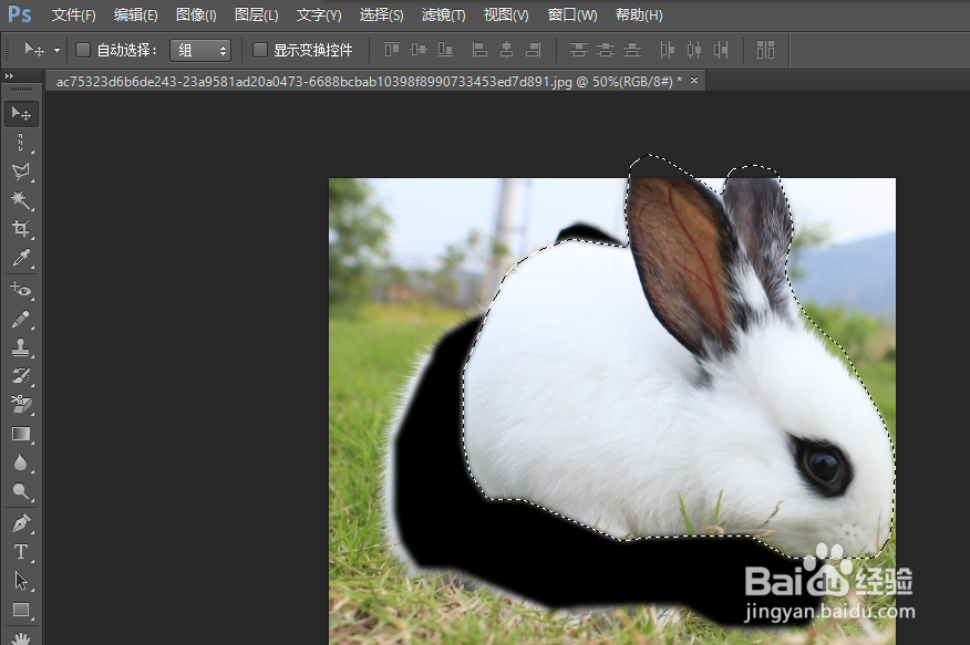 使用PS如何选定各种选区