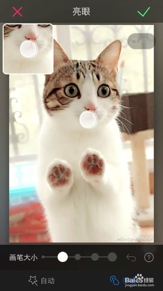 如何用美图秀秀美化人像，速成