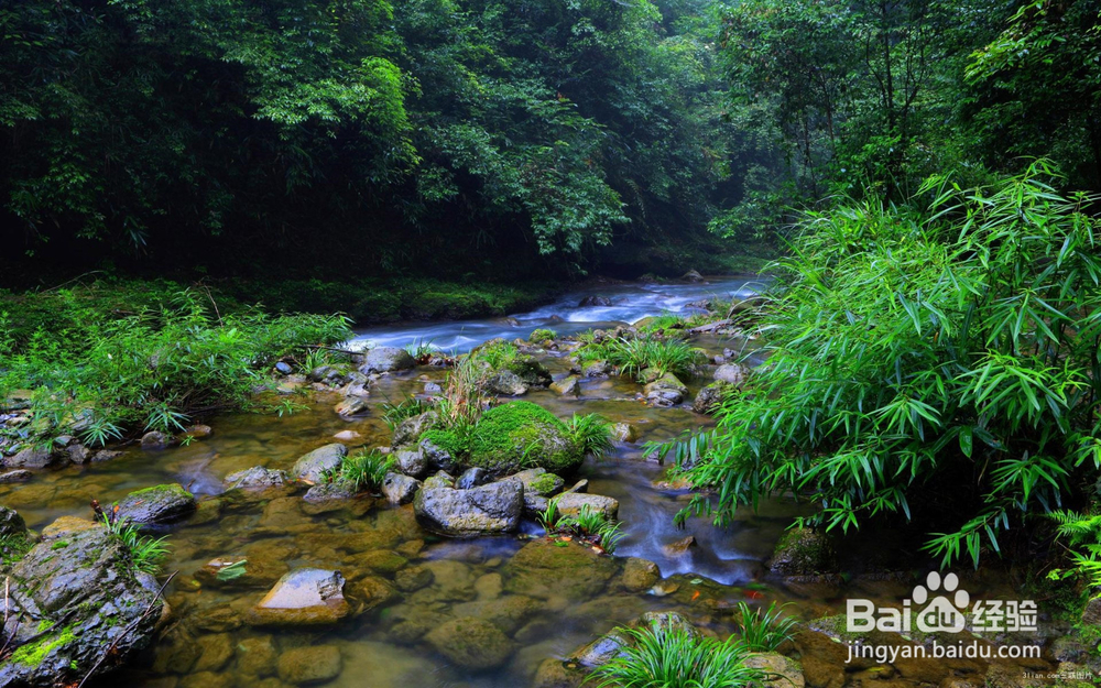 春节镇远旅游攻略景点门票推荐！