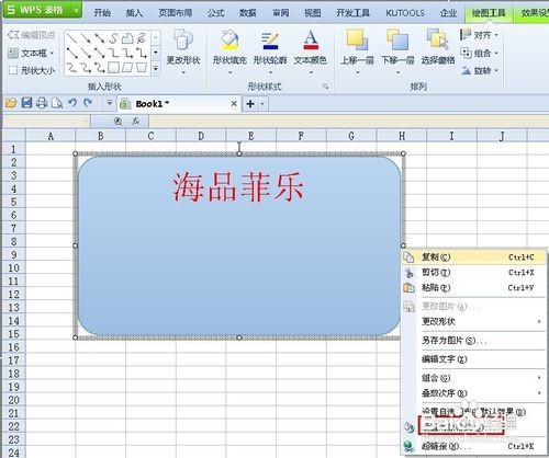 怎样在wps表格下面添加文字