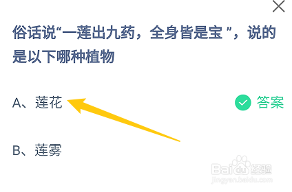 蚂蚁庄园答案一莲出九药全身皆是宝说的哪种植物