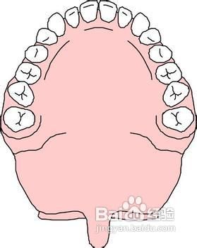 保护牙齿之九个标准