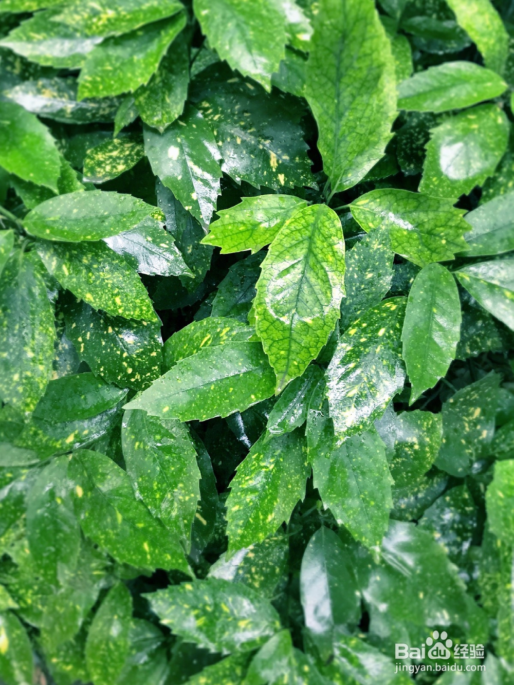 怎么拍摄一张属于自己的屏保