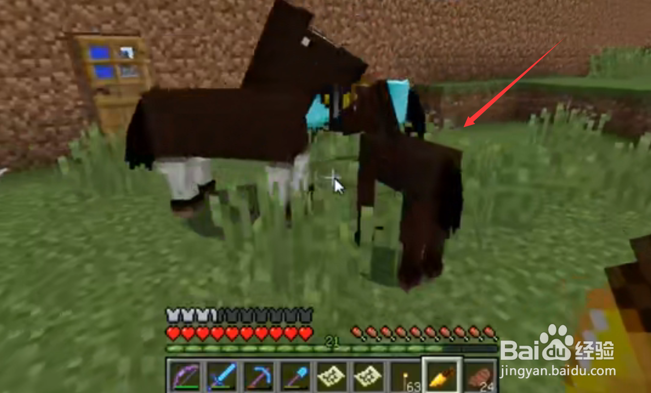 我的世界马吃什么才能繁殖