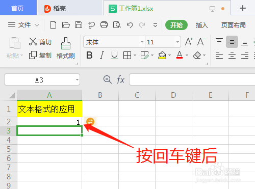 WPS2019 第十二课 电子表格的文本格式怎样应用