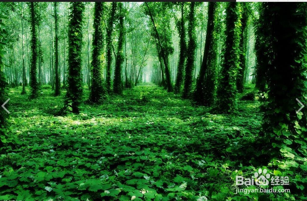 如何辨别市面上的牛奶饮料