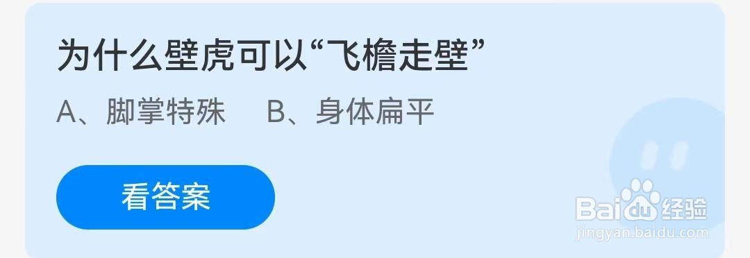 为什么壁虎可以“飞檐走壁”