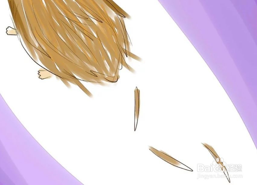 如何照顾一只刺猬