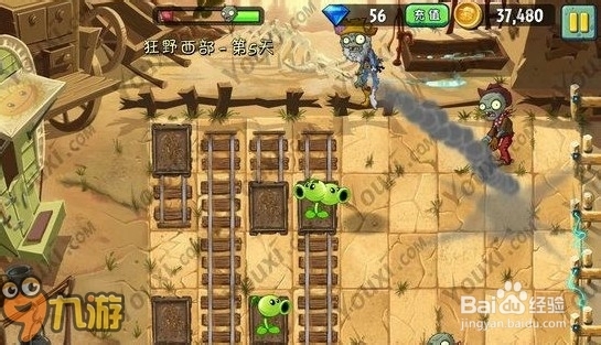 【图文】安卓版《植物大战僵尸2》海盗湾第五关