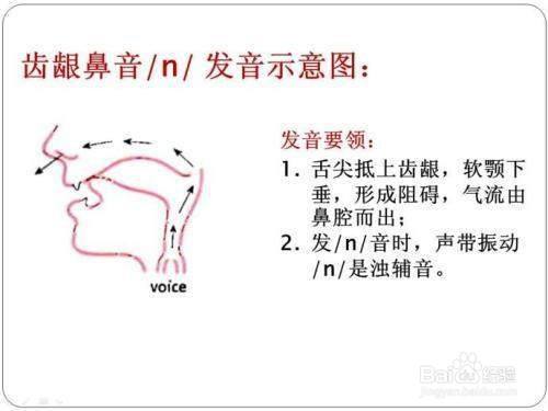 鼻音和边音的拼音怎么区分?