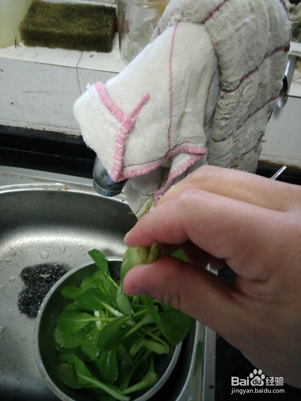 小青菜一手撵开法