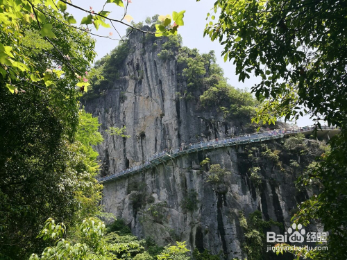 柳州旅遊攻略必去景點