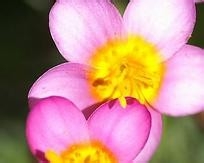 健康生活小知识15