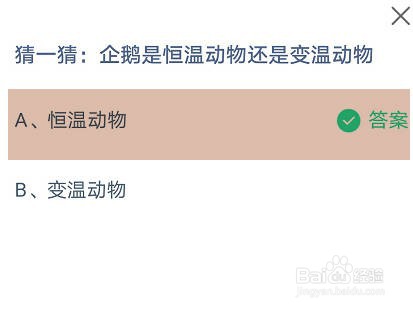 猜一猜:企鹅是恒温动物还是变温动物蚂蚁庄园