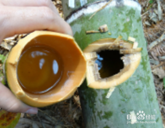 竹筒酒怎样辨别真假