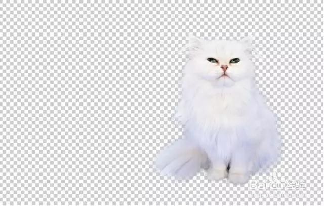 Photoshop新手们的抠图技巧