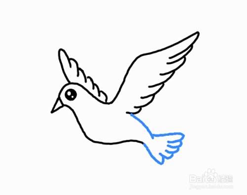 如何画飞翔的鸟