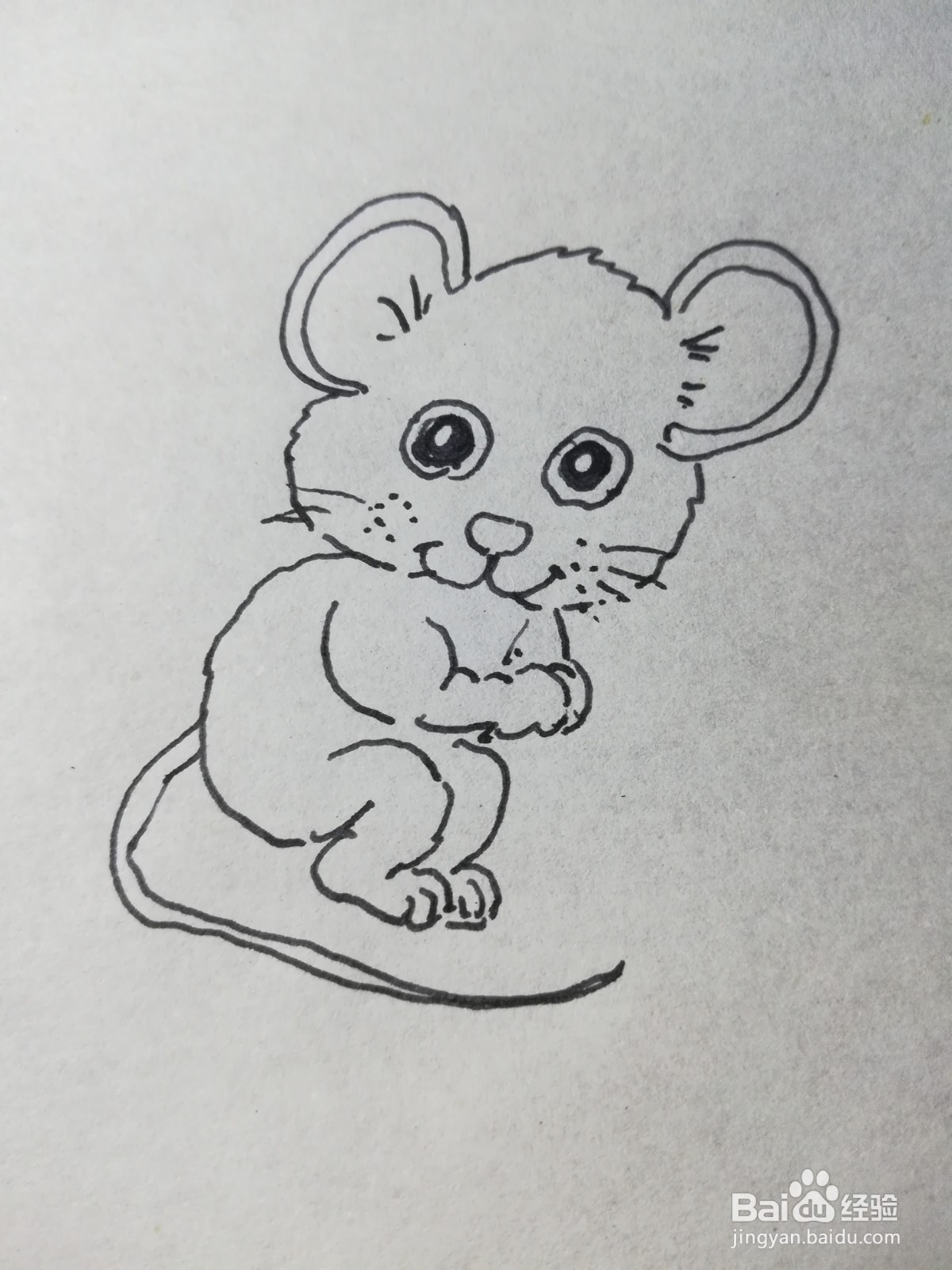 怎么画大头鼠简笔画