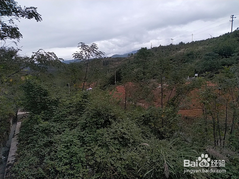 换填土处理路基施工的要求有哪些？