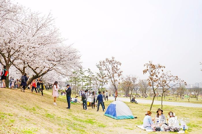 春天该领孩子去哪里玩?