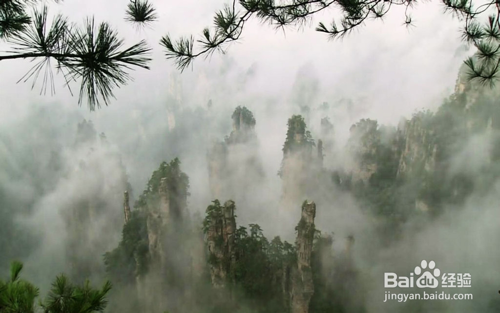 杭州到张家界自助游