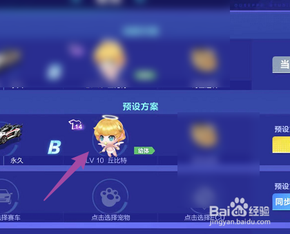 QQ飞车如何修改备战宠物