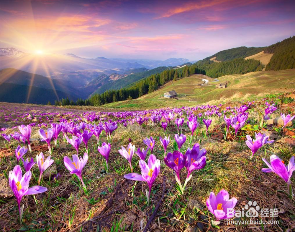 PS如何把普通照片变为油画效果？