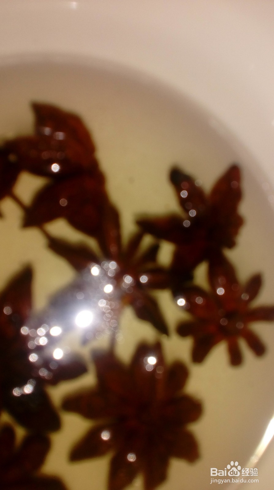 垂钓鲫鱼窝子