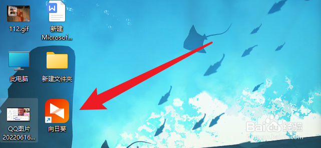 向日葵怎么手机投屏