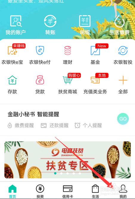 怎么查农行外币取现的营业网点