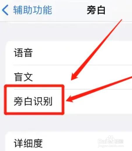 苹果手机的图像描述功能咋关闭