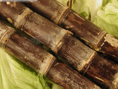 白领冬季养生三宝