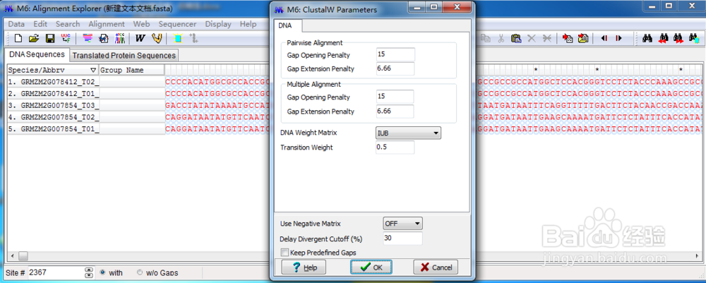 MEGA 5.0构建进化树