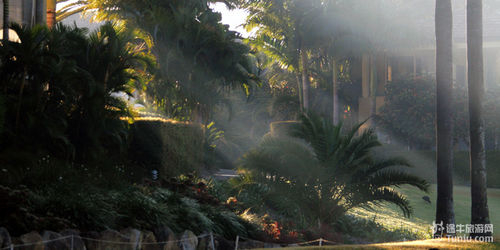 怎样计划澳洲布里斯班旅游