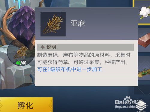 冰原守卫者如何孵化黑暗龙