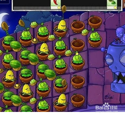 植物大战僵尸屋顶9-10关攻略