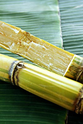 冬天到了吃什么水果好