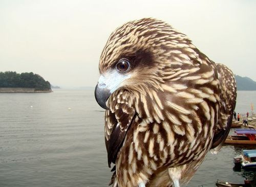 千岛湖自助旅游攻略