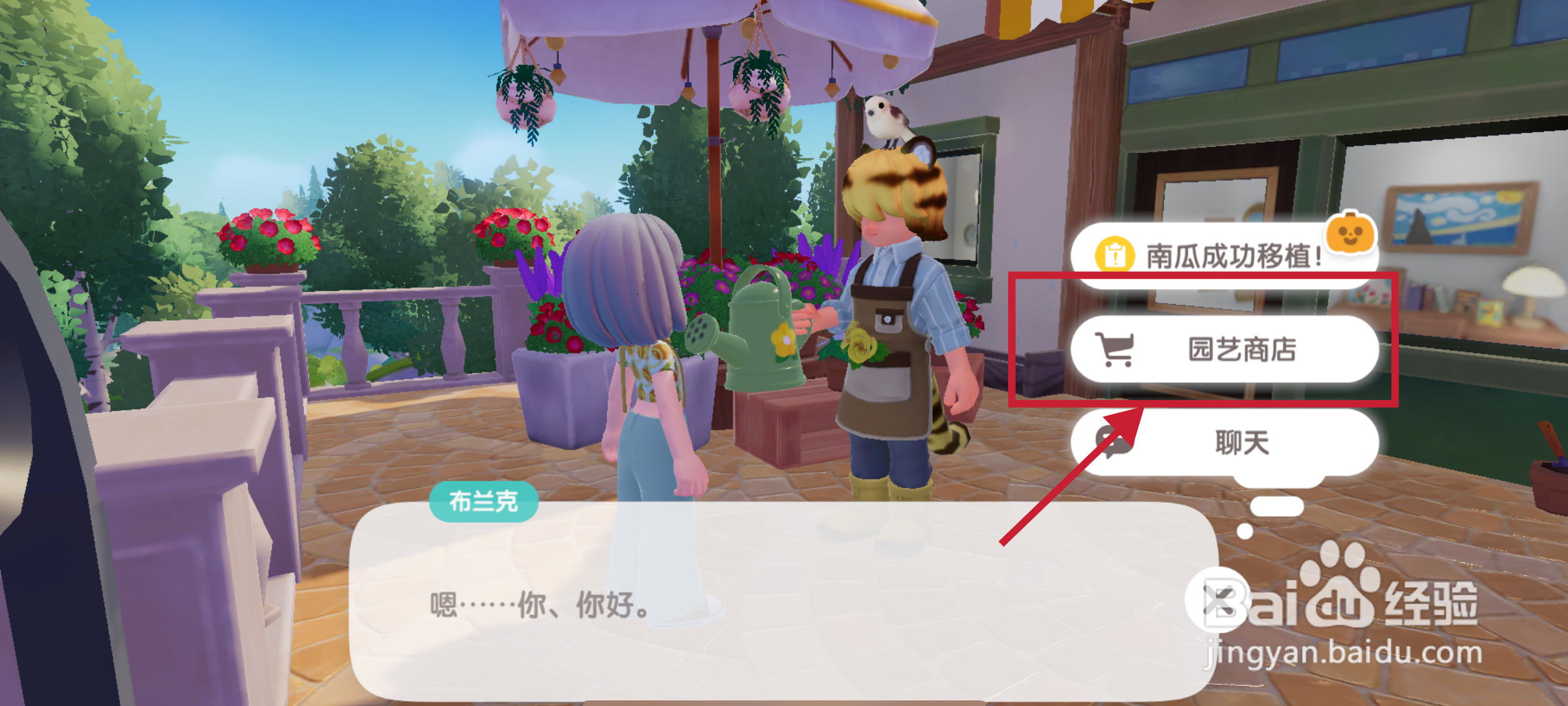 心动小镇南瓜种子怎么获得