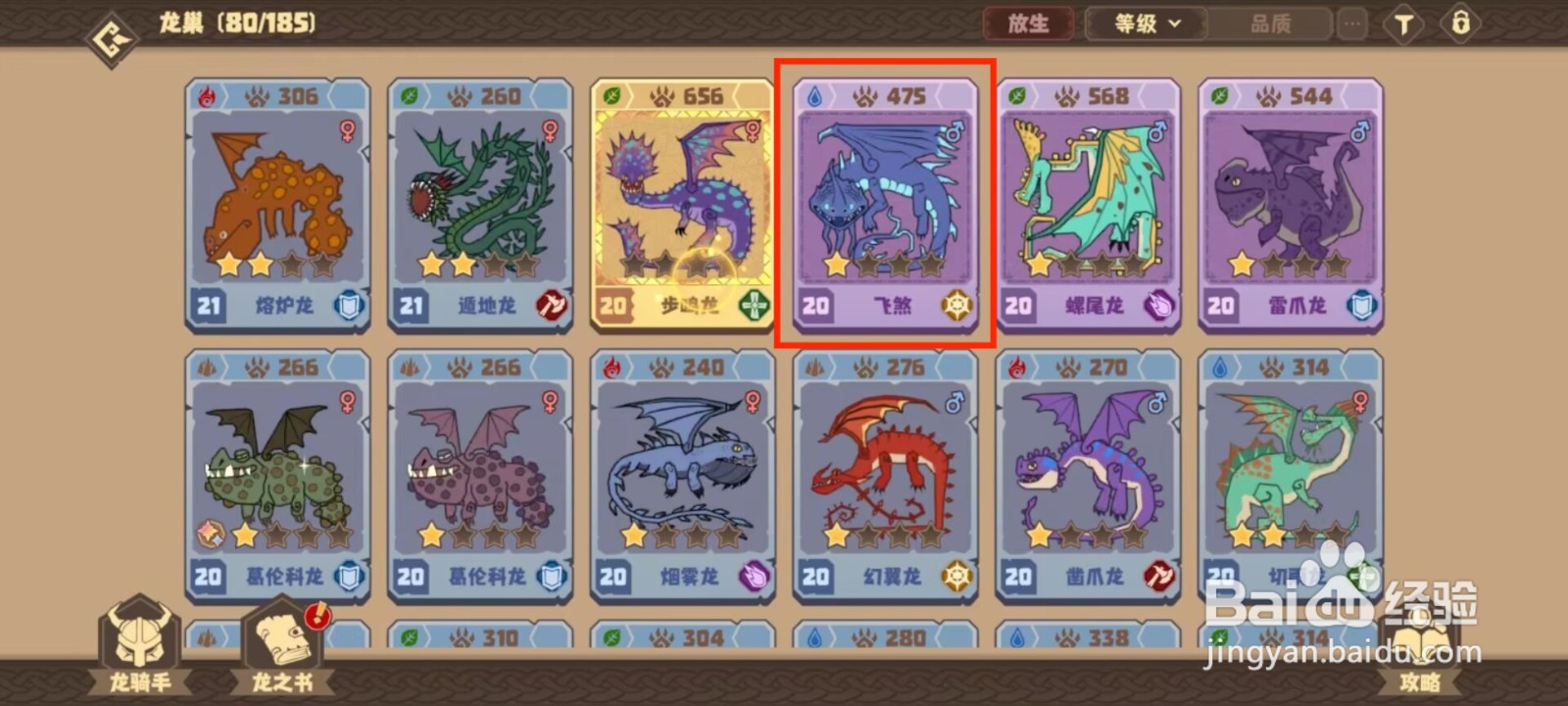 驯龙高手旅程飞煞如何穿戴装备？