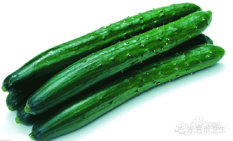 驱除蟑螂有哪些妙招