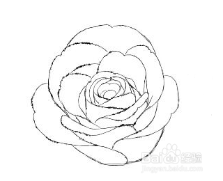 优动漫PAINT-仿真玫瑰速成法