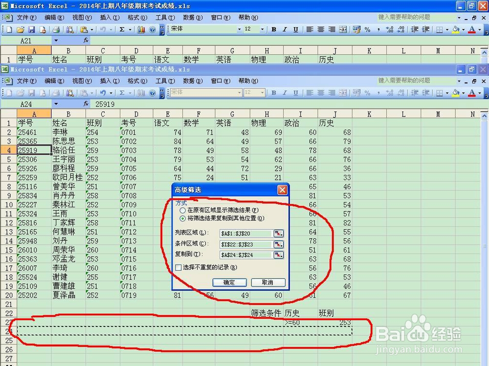 如何从电子表格中筛选自定义数据