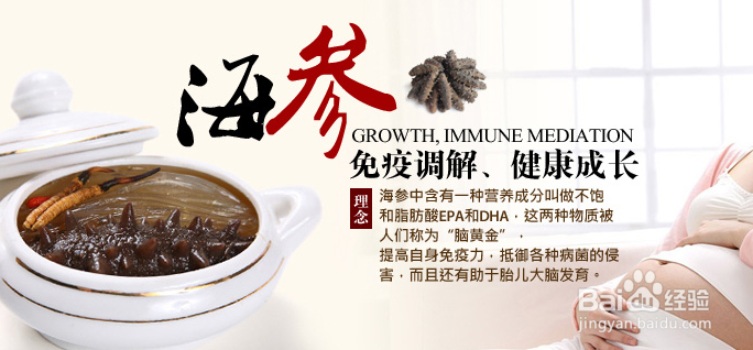 夏季一天吃多少海参合适，科学合理搭配是关键