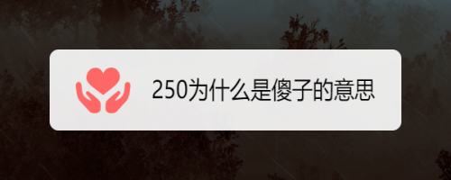 250为什么是傻子的意思