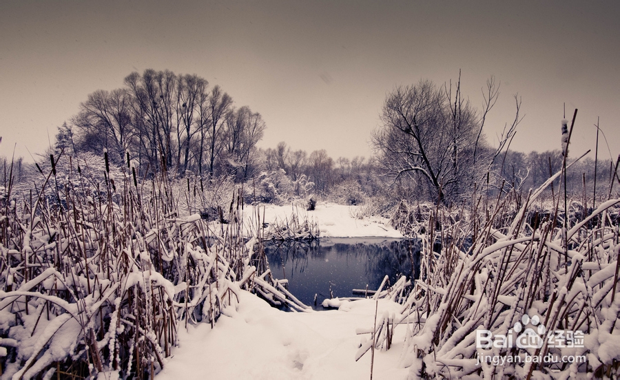 冬季为什么感到手足发冷,应如何应对呢?