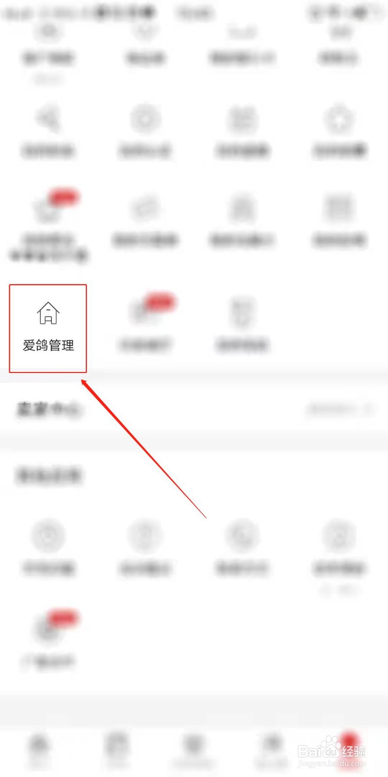 赛鸽头条怎么添加信鸽