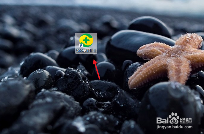 小鸟壁纸怎么卸载